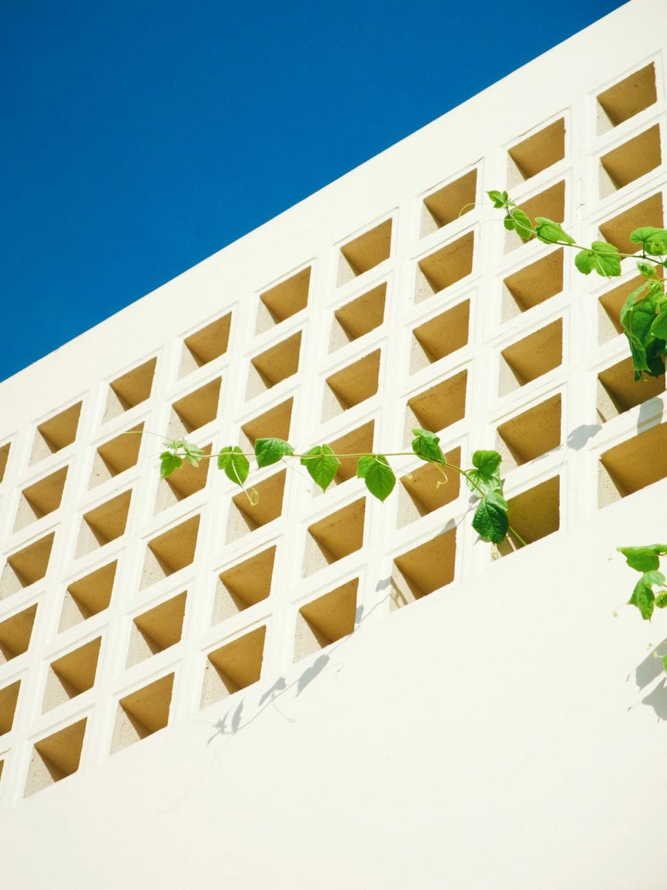 Sustainable materials